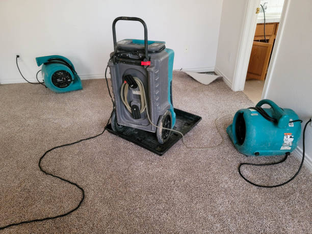Best Residential water damage restoration  in Berkeley, IL