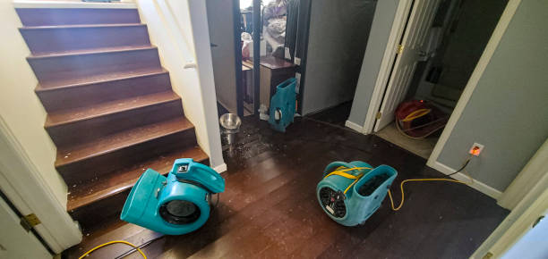 Best Flooded house restoration  in Berkeley, IL