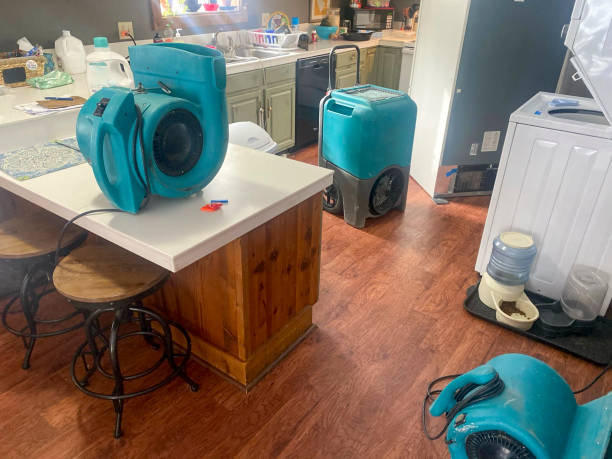 Best Fire Damage Restoration  in Berkeley, IL