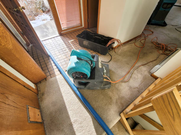Sewage cleanup and water damage restoration in IL