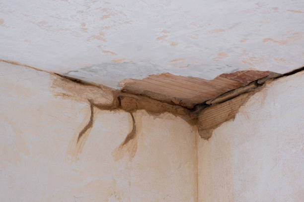 Best Basement water damage restoration  in Berkeley, IL