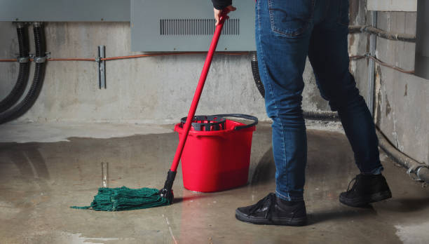 Best Mold removal after water damage  in Berkeley, IL