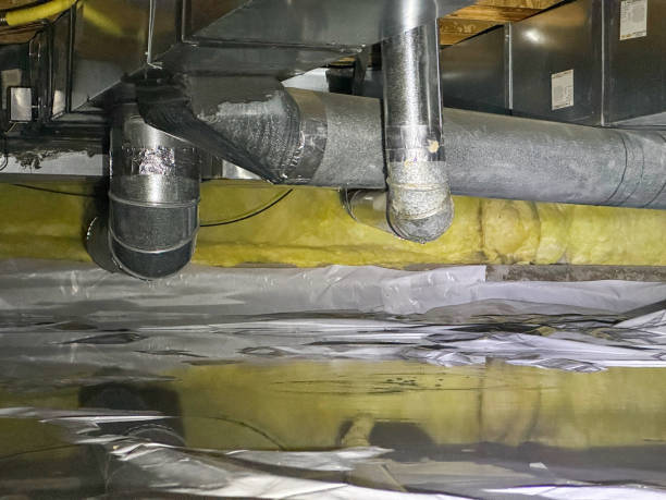  Berkeley, IL Water damage restoration Pros