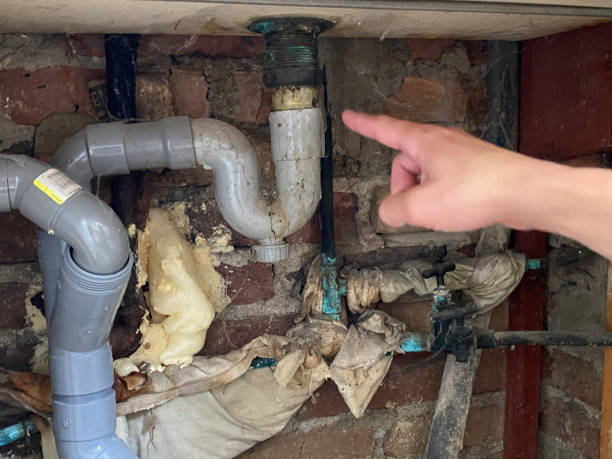 Best Professional water damage repair  in Berkeley, IL