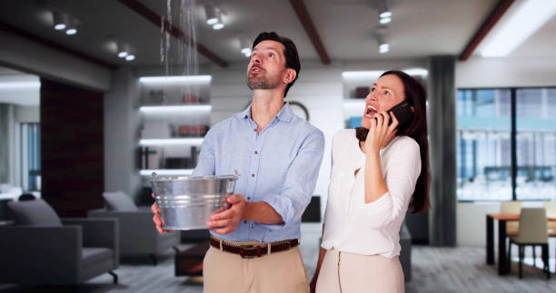 Best Carpet water damage restoration  in Berkeley, IL