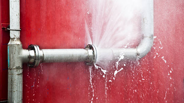 Best Sewage cleanup and water damage restoration  in Berkeley, IL
