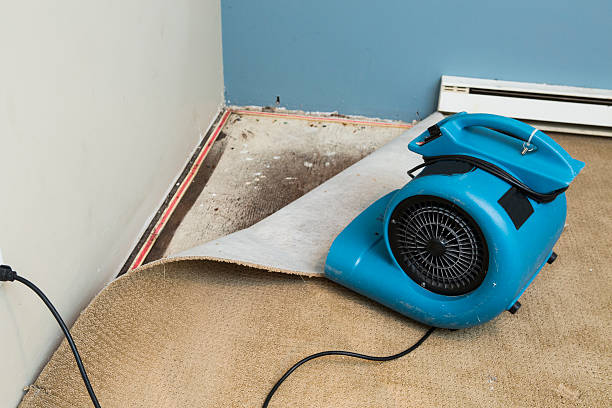 Best 24-hour water damage restoration  in Berkeley, IL